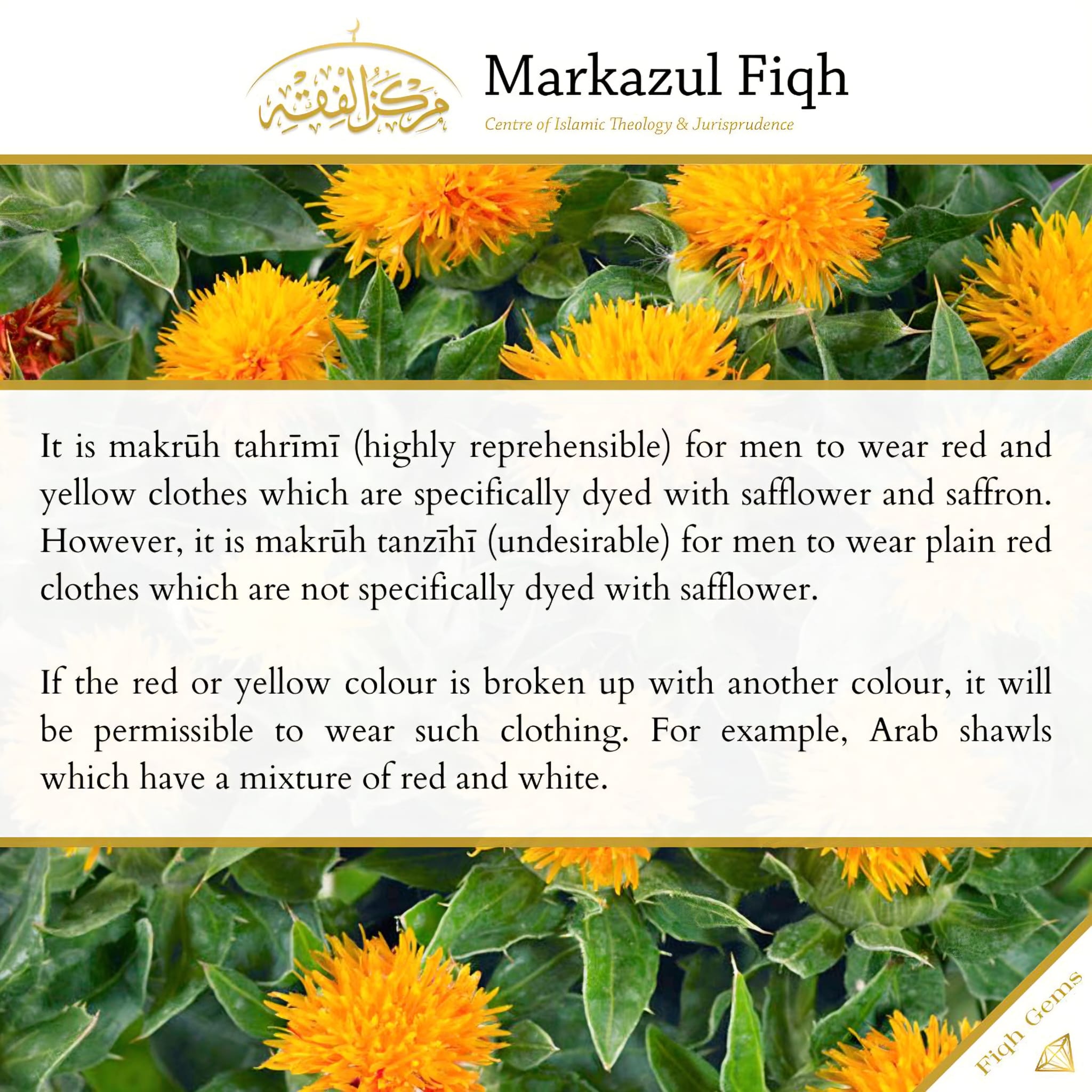 Fiqh Gem: Men Wearing Red